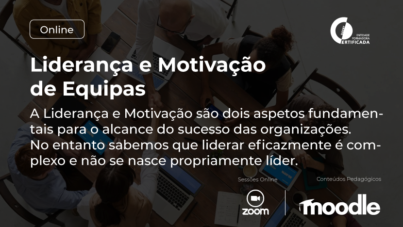 Formacao Motivacao Equipas